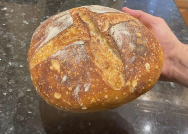 Stand Mixer Sourdough Bread - Grant Bakes