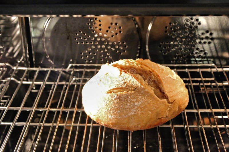 Sourdough in the Oven 9737 stock photo. Image of taste - 213119240